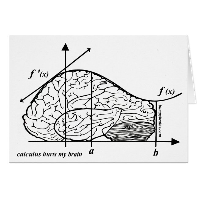 Calculus Hurts my Brain (Voorkant Horizontaal)