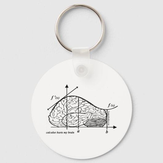 Calculus Hurts my Brain Sleutelhanger (Voorkant)