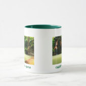 Caldeira Velha - Açores mug (Centre)