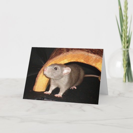 Caleb-kaart Bedankkaart (Voorkant)