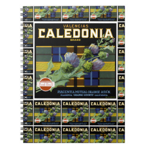 Caledonia Oranje Label multiprint Notitieboek