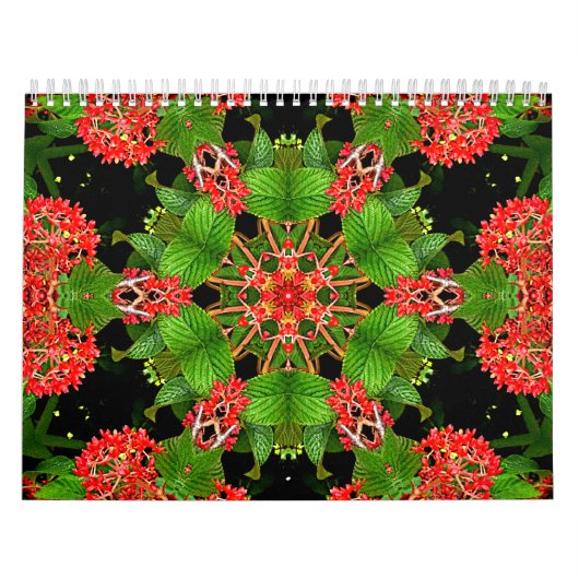 caleidoscopen kalender (Hoes)