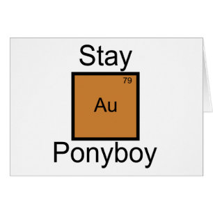 Calembour d'élément de Ponyboy d'or de séjour