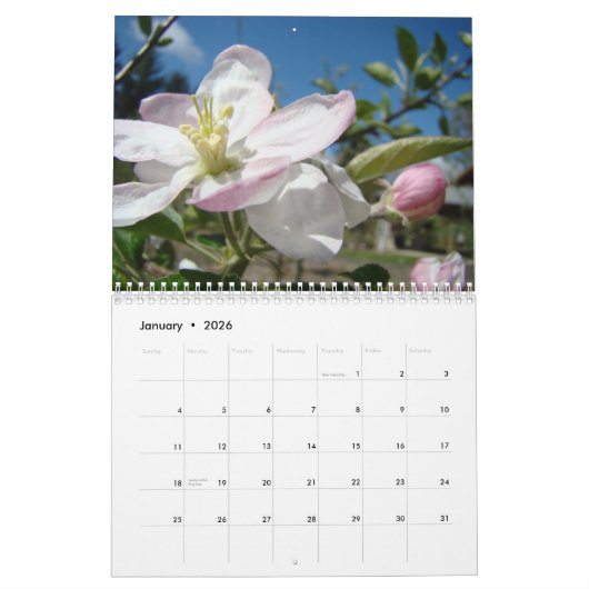 CALENDAR APPARAAT BLOSSOMS Calendar Spring Art Kalender (Jan 2026)