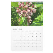 Calendar bees butterflys kalender (Jan 2026)