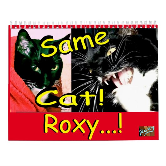 Calendar Cat Roxy Kalender (Achterkant)