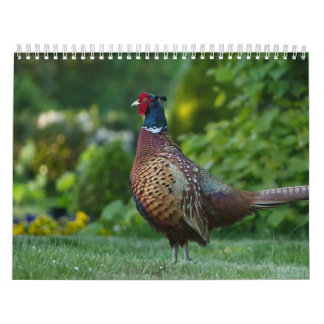 Calendar Fazant Kalender