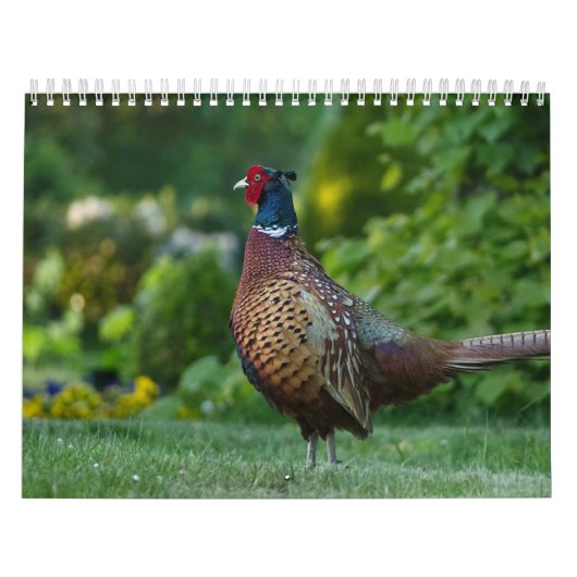 Calendar Fazant Kalender (Hoes)