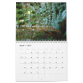 CALENDAR FERNS Calendar Redwood Forest Ferns Kalender (Mar 2026)