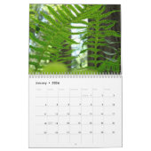 CALENDAR FERNS Calendar Redwood Forest Ferns Kalender (Jan 2026)