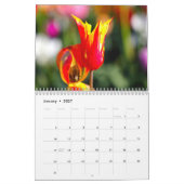 Calendar Kalender (Jan 2027)