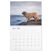 Calendar - Leonberger Ladies Kalender (Mar 2026)