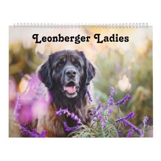 Calendar - Leonberger Ladies Kalender (Hoes)