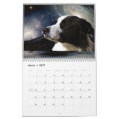 Calendario 2014 jolulodi Border Collie Kalender (Mar 2027)