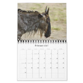 Calendars 2011 - Wilde Afrika - klein formaat Kalender (Feb 2027)