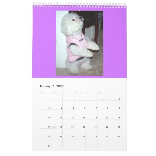 Calender 2010 kalender (Jan 2027)