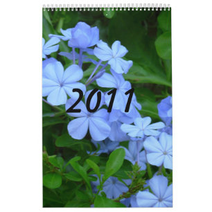 Calender 2011 kalender