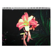 Calender 2012 kalender (Hoes)