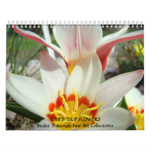 CALENDER TULPEN Kalenders Tulpen Bloemen Kalender