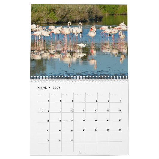 Calendrier (Mar 2026)