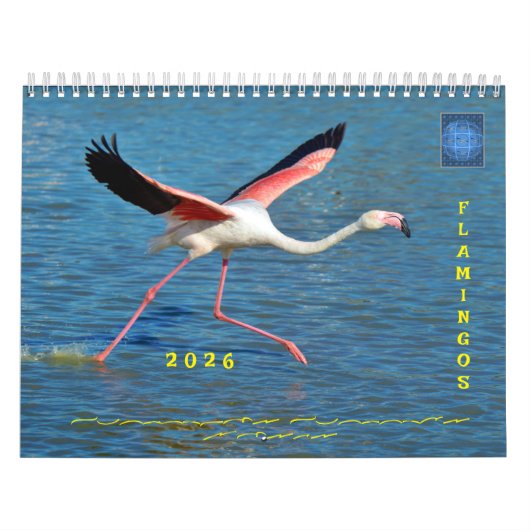 Calendrier (Protection)