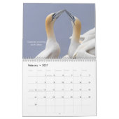 Calendrier (Feb 2027)