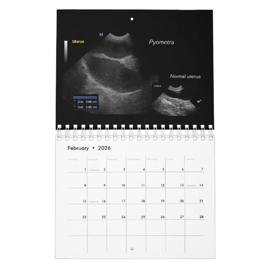 Calendrier (Feb 2026)