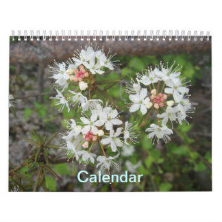 Calendrier