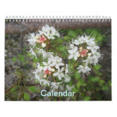 Calendrier (Protection)