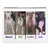 Calendrier (Protection)