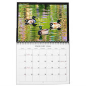 Calendrier (Feb 2026)