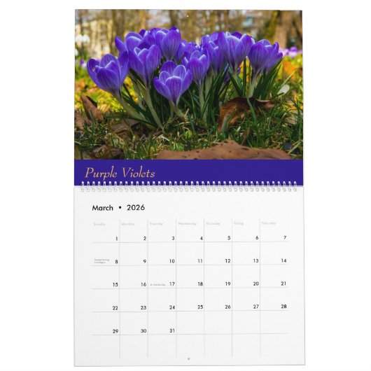 Calendrier (Mar 2026)