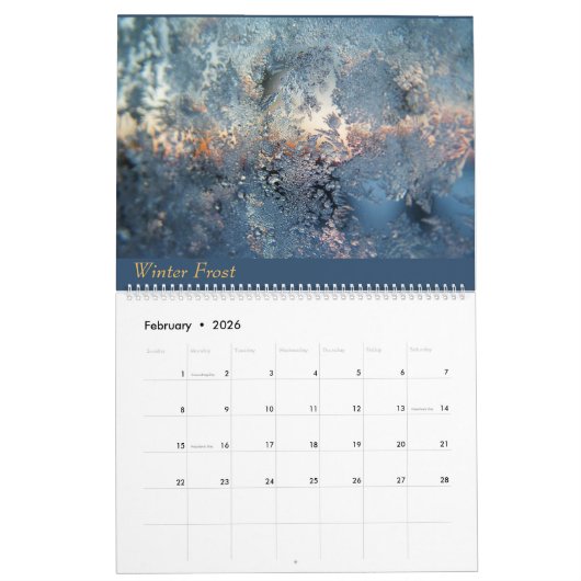 Calendrier (Feb 2026)