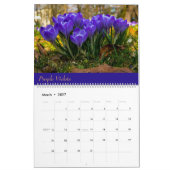 Calendrier (Mar 2027)