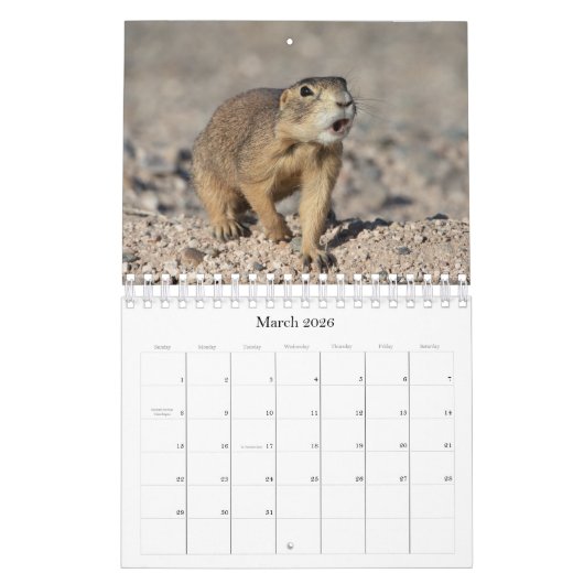 CALENDRIER (Mar 2026)