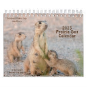 CALENDRIER (Protection)