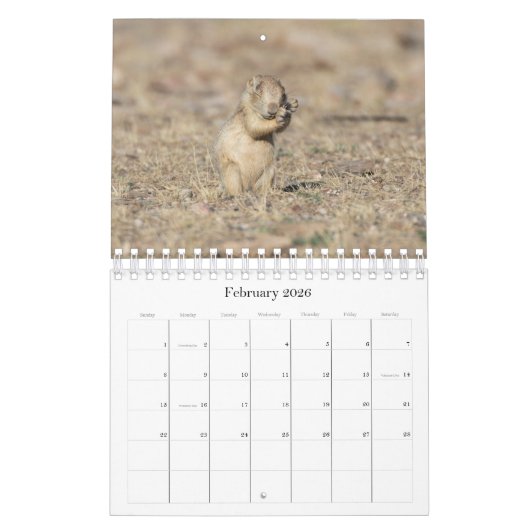 CALENDRIER (Feb 2026)