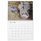 Calendrier (Mar 2026)