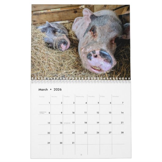 Calendrier (Mar 2026)