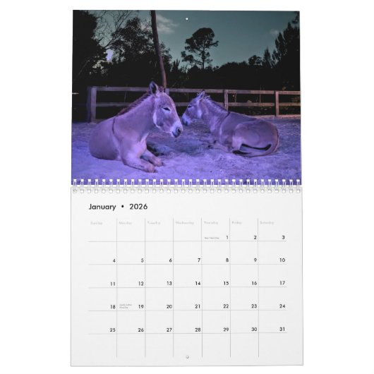 Calendrier (Jan 2026)