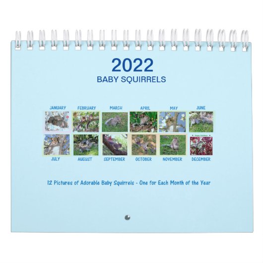 Calendrier (Protection)