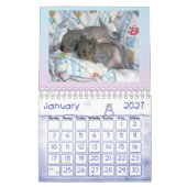 Calendrier (Jan 2027)