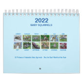 Calendrier (Protection)