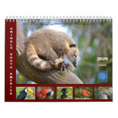 Calendrier (Protection)