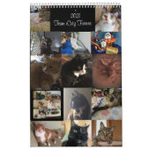 Calendrier (Protection)