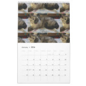 Calendrier (Jan 2026)