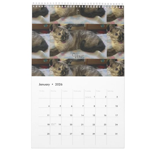 Calendrier (Jan 2026)