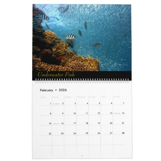 Calendrier (Feb 2026)