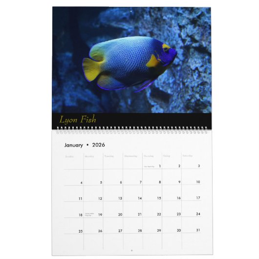 Calendrier (Jan 2026)