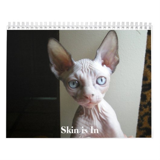 Calendrier (Protection)